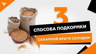 Три способа подкормки сахарной браги солодом