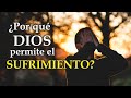 💧¿Por qué Dios permite el sufrimiento? - Heraldos del Evangelio México