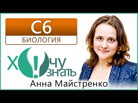 Хочу знать егэ видеоуроки