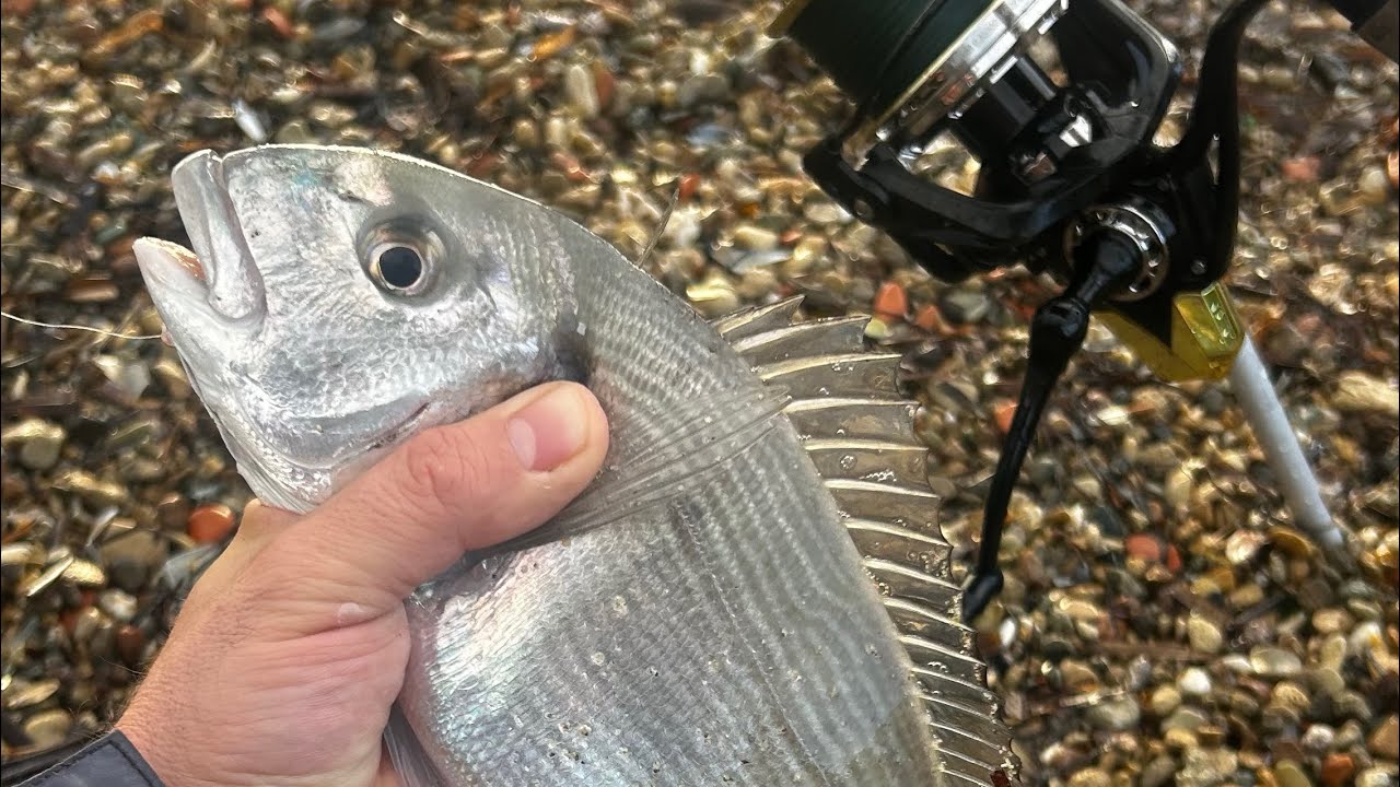 ÇUPRALAR ÇILDIRDI... ARKA ARKAYA GELDİLER. BÖLÜM 1 