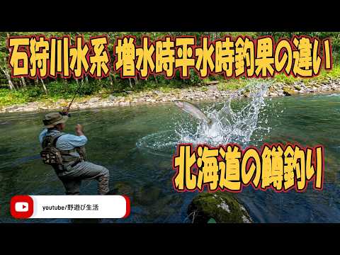北海道の鱒釣り 石狩川水系増水時と平水時の釣果を比較する