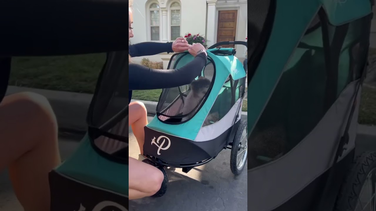 Best pet stroller to travel with on hot summer days 🌞 #petstroller #dogstroller #dogs #pettravel 縮圖