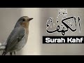 Surah kahf     heart soothing recitation  hooria marjan islamic channel