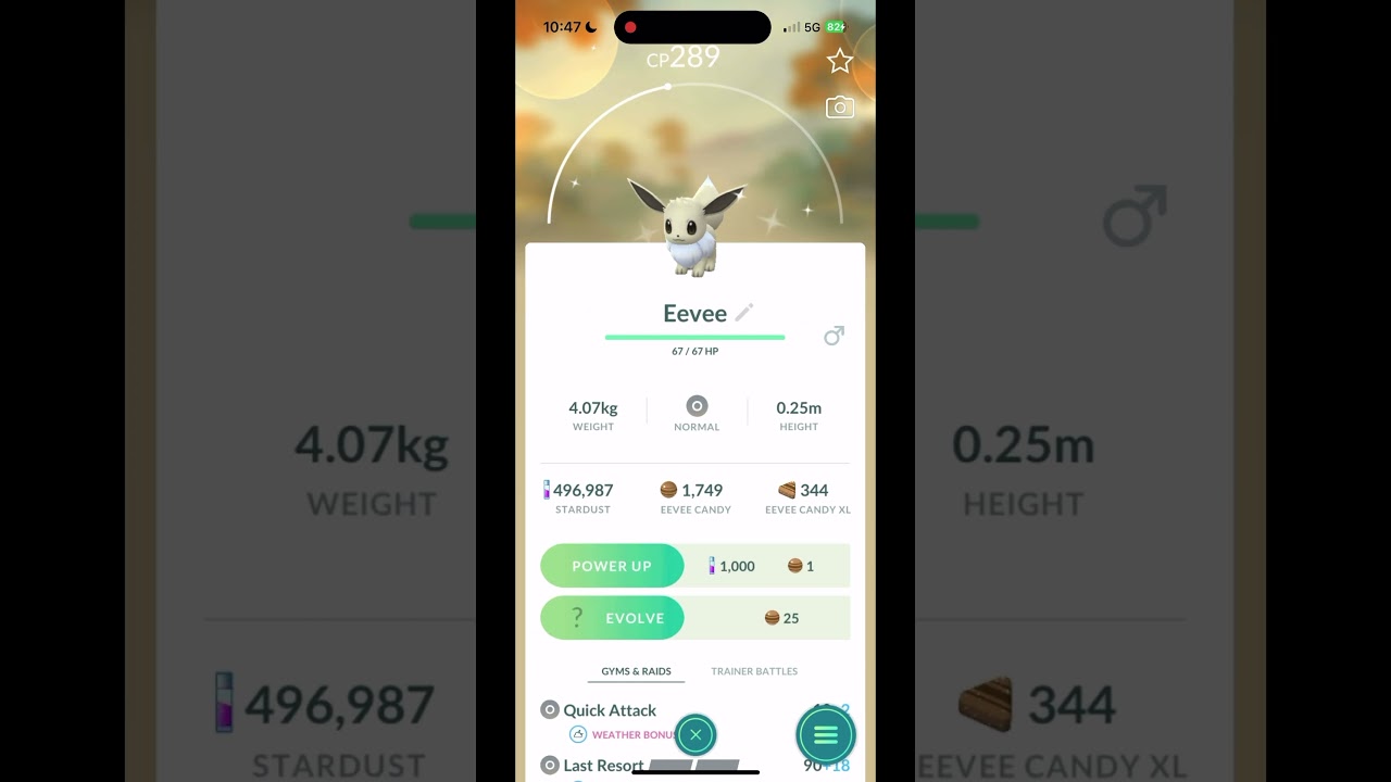 Shiny Eevee during Eevee  Community Day (1st and 2nd day) in Pogo 