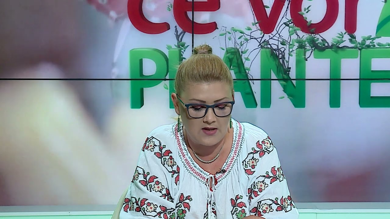 VIDEO Dr. Ing. Horia Ghibu - Tratament OBLIGATORIU la vița de vie înainte de coacerea strugurilor 1 VIDEO Dr. Ing. Horia Ghibu - Tratament OBLIGATORIU la vița de vie înainte de coacerea strugurilor YouTube player