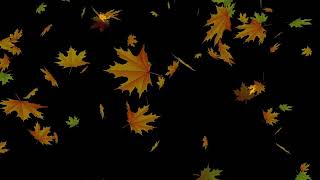 Осенние Листья | Осень | Leaves | Листопад | Футажи | Футажор