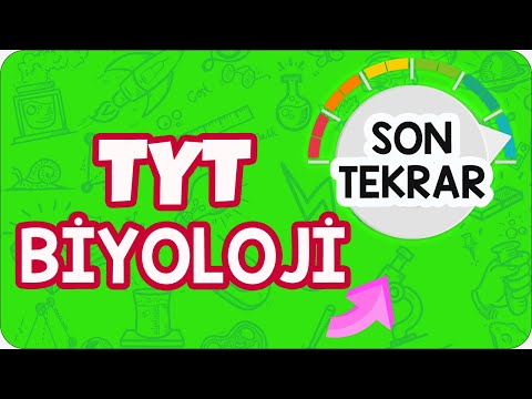 TYT Biyolojiyi Tek Videoda Full Tekrar Et!