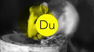 Sonnenfroh Werbeagentur