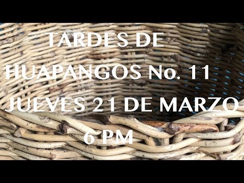 TARDES DE HUAPANGOS No. 11 Pidan sus Huapangos favoritos