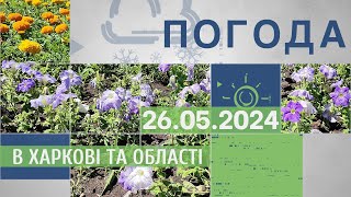 Прогноз погоди в Харкові та Харківській області на 26 травня