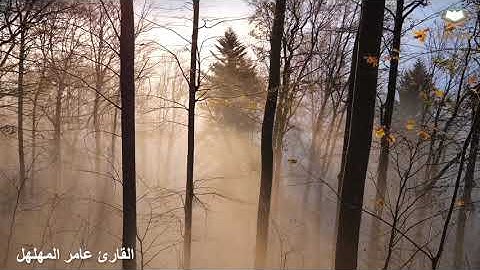 ( وَإِذْ تَأَذَّنَ رَبُّكُمْ لَئِن شَكَرْتُمْ لَأَزِيدَنَّكُمْ ) تلاوة رائعة للقارئ عامر المهلهل