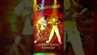 🇮🇹"SHARAZAN"🇮🇹#viralvideo #music #musicproducer #schlager #fyp #italy @bigjammusic