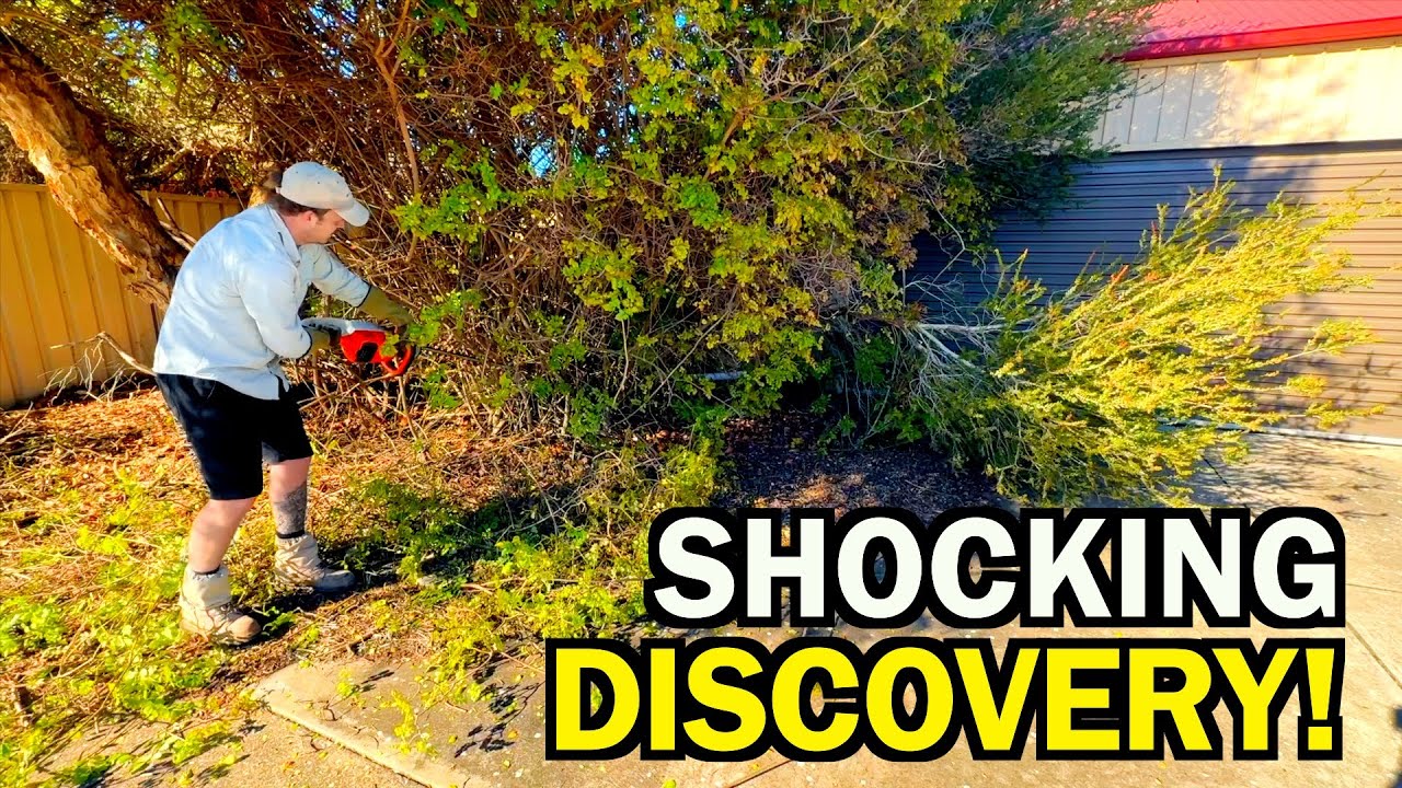 They BROKE INTO his Home while he was in HOSPITAL! - The MOST INSANE Garden TRANSFORMATION