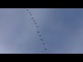 Zugvögel kommen zurück -  Kraniche über Südwestfalen -   2021-02-16   16:18Uhr Video 2