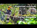 Pakuthippalam forest bungalow  nelliyampathi forest  hornbill story