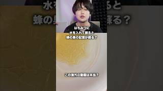 これマ…? #ハクマイン #検証 #ライフハック #プチ知識