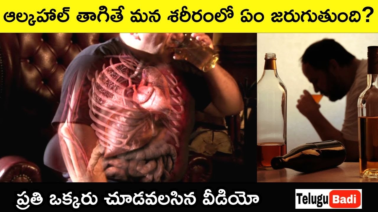 How Alcohol is Killing You Slowly Explained in Telugu Best Health