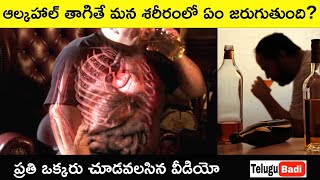 How Alcohol is Killing You Slowly Explained in Telugu | Best Health Videos in Telugu | Telugu Badi
