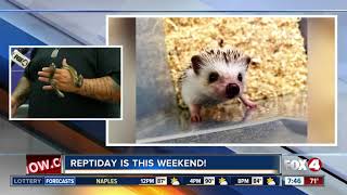 ReptiDay comes to Fort Myers