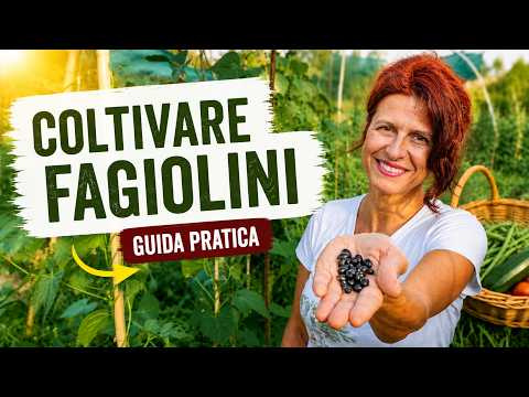 Coltivare FAGIOLINI. Tutto quello che devi sapere (guida)