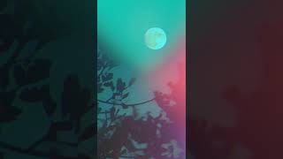 Flowers growing under an emerald moon | #Piano | #Aehras | #Music