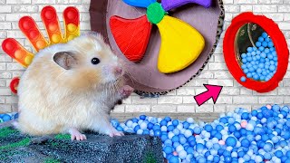 Hamster Escape Maze with Colorful Traps  Cute Hamster pets Maze