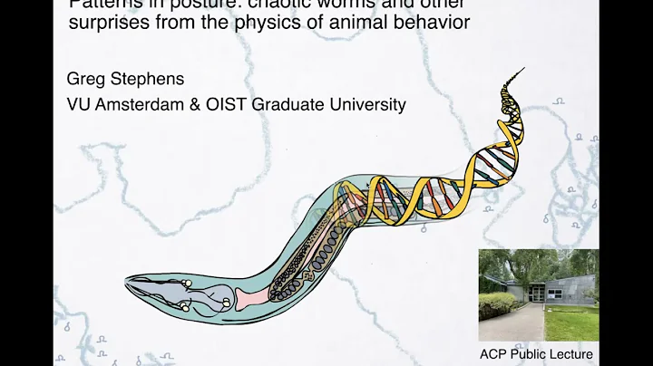 Patterns in Posture: Chaotic Worms, Surprises from the Physics of Animal Behavior