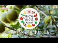 6月2日発売 野菜生活100 沖縄シークヮーサーミックス