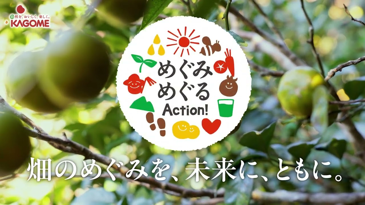 6月2日発売 野菜生活100 沖縄シークヮーサーミックス