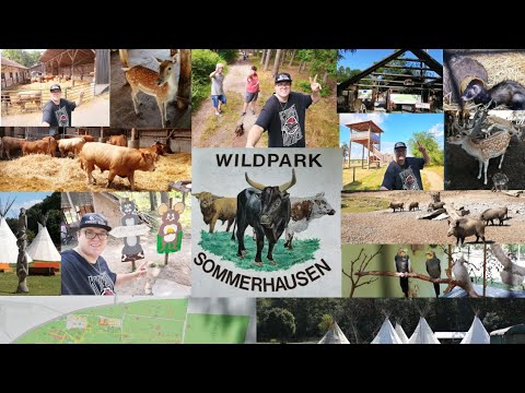 Tierpark Sommerhausen Wildpark Sommerhausen Mit Aussichtsturm Und Heimische Haus Und Nutztiere Youtube Tierpark Sommerhausen Wildpark Sommerhausen Mit Aussichtsturm Und Heimische Haus Und Nutztiere Youtube