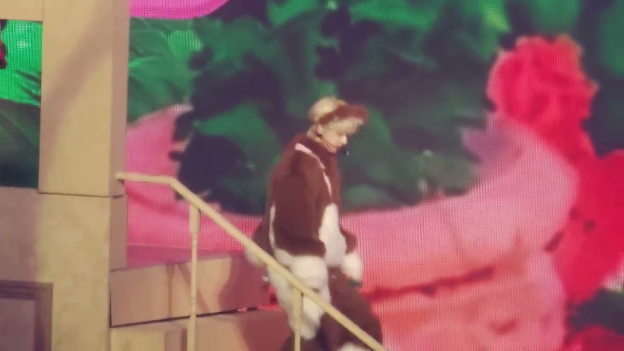 260221 NCT WISH 팬미팅 낮공 Cheat Code