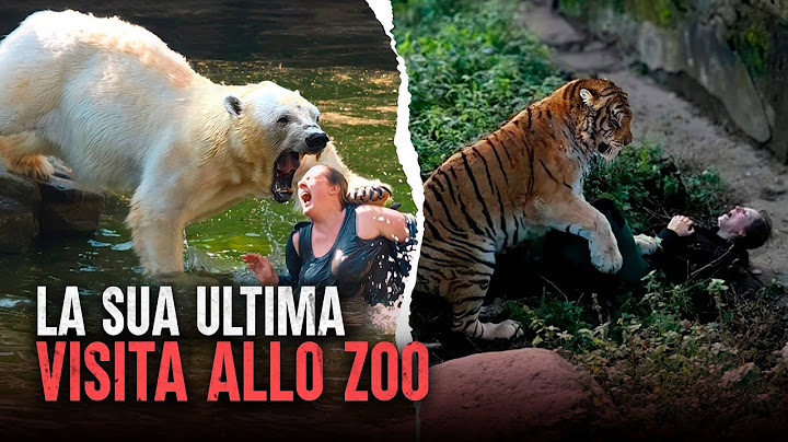 Attacchi allo zoo più letali: animali che mordono