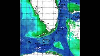 Southeastern U.S. Ocean Conditions Update - 4/14/2026