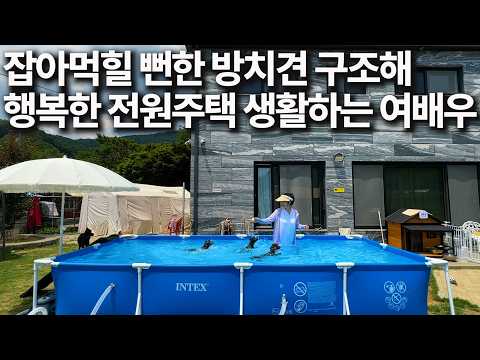 A Day in the Life of an Actress Who Delivers Packages for Coupang to Rescue Abandoned Dogs