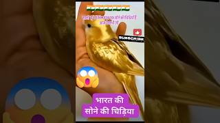आज यह साबित हो गया की भारत एक सोने की चिड़िया है😱| #india #shorts #trending #viral #ytshorts