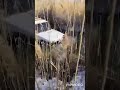 Саня может