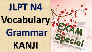JLPT N4 Grammar Questions and Answers | N4 JLPT Questions and Answers | sample JLPT N4 Past Question screenshot 2