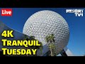 4k live an early tranquil tuesday at epcot in 4k  walt disney world live stream  6424