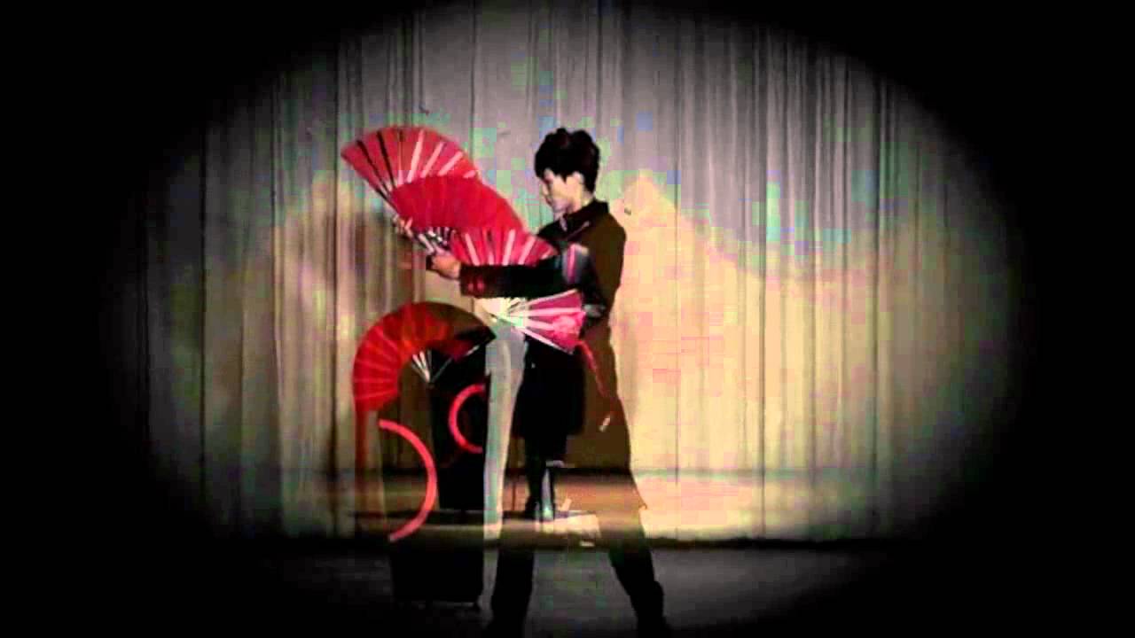 FANtasy by Po Cheng Lai - DVD