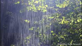 99% of YOU will Fall Asleep Fast | Strong Rain & Mighty Thunder on the Roof of Forest House at Night