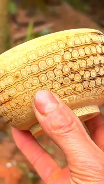 From Bamboo Roots to Elegant Bowl – Unique Chinese Craftsmanship!