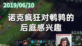 东北大鹌鹑0610P10 提莫:诺克疯狂对鹌鹑的后庭感兴趣