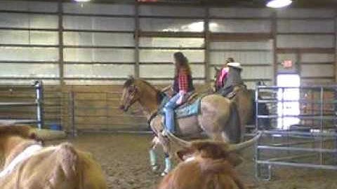 Troy - 1st Cow Sorting