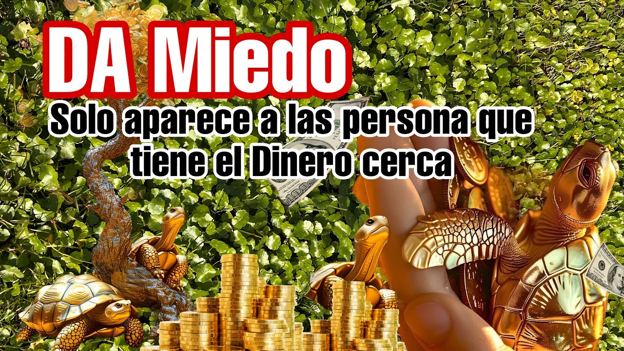 Te llegara dinero de todas partes ACTIVA El colibrí de la Abundancia ...