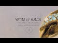 Miniature de la vidéo de la chanson Waters Of March