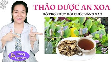 Thảo dược An Xoa là Bí Quyết Phục Hồi chức năng Gan hiệu quả