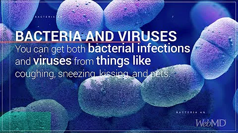 The Basics: Bacterial and Viral Infections | WebMD - DayDayNews