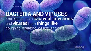 The Basics: Bacterial and Viral Infections | WebMD