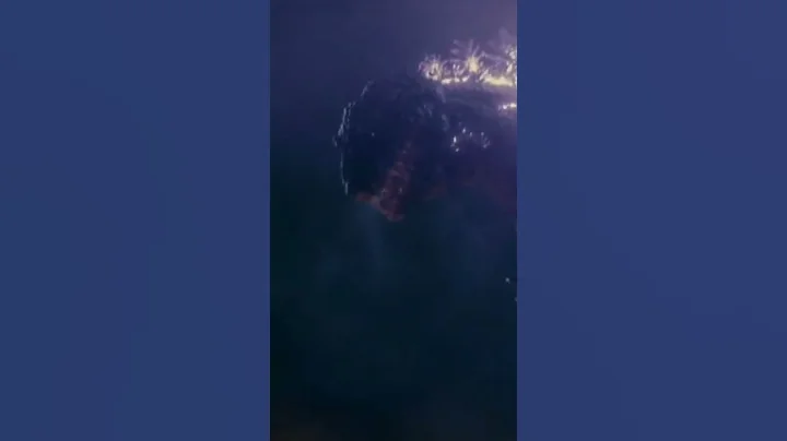 Godzilla vs Shin Godzilla #shorts #Godzilla #Shingodzilla