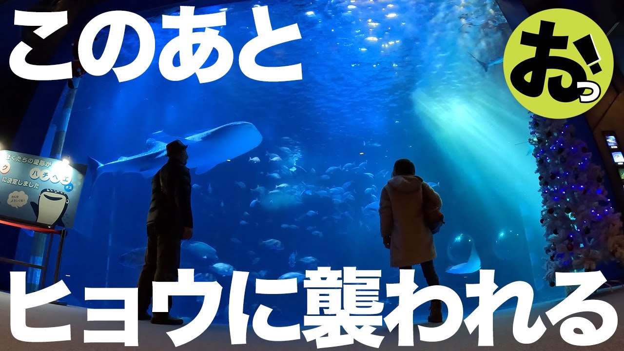 能登半島の自然に翻弄される熟年夫婦！ヒョウに襲われ、雨に降られる輪島の夜